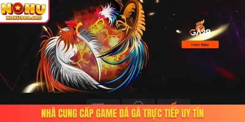 Nhà cung cấp game đá gà trực tiếp uy tín